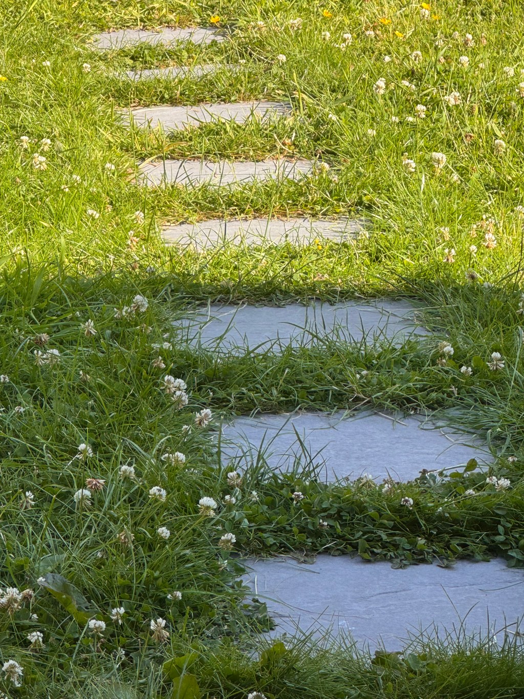 Poetry as a new&nbsp;beginning